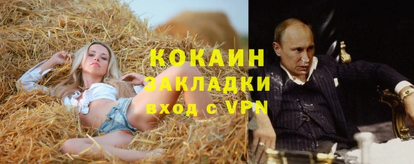 ПСИЛОЦИБИНОВЫЕ ГРИБЫ Новозыбков