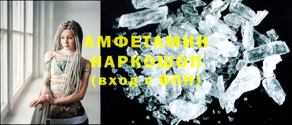 ПСИЛОЦИБИНОВЫЕ ГРИБЫ Новозыбков