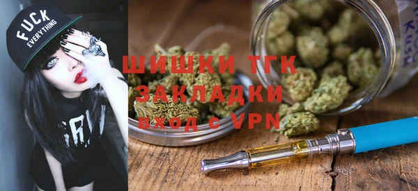 ПСИЛОЦИБИНОВЫЕ ГРИБЫ Новозыбков