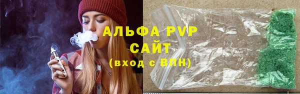 ПСИЛОЦИБИНОВЫЕ ГРИБЫ Новозыбков